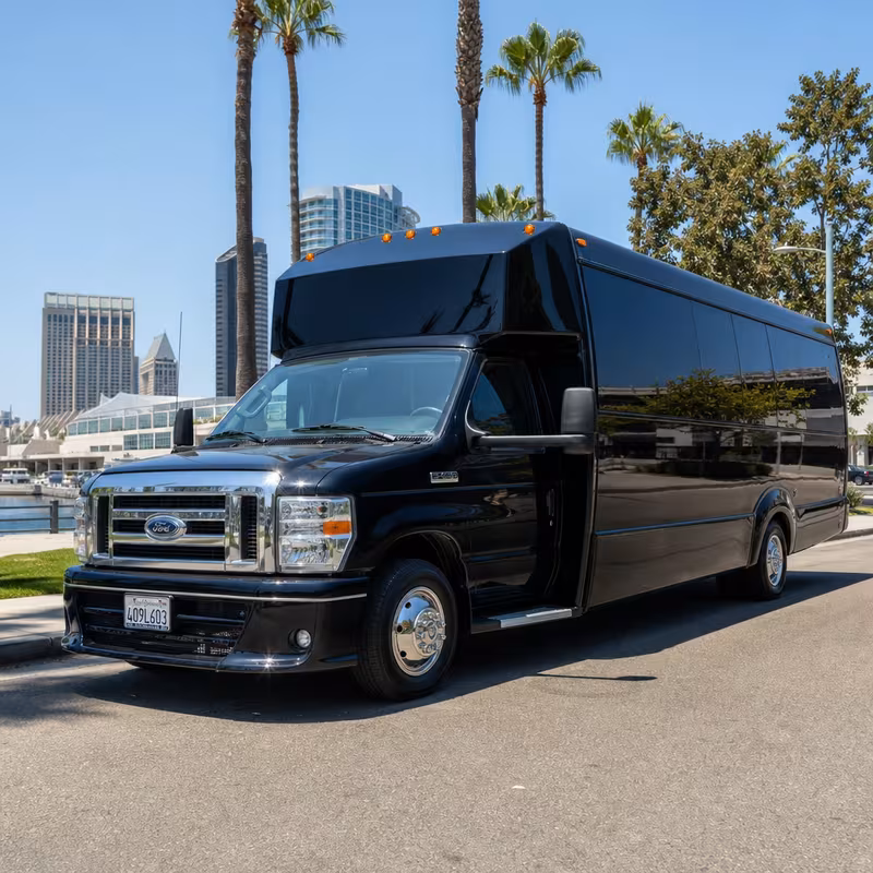 20 Passenger Party Bus